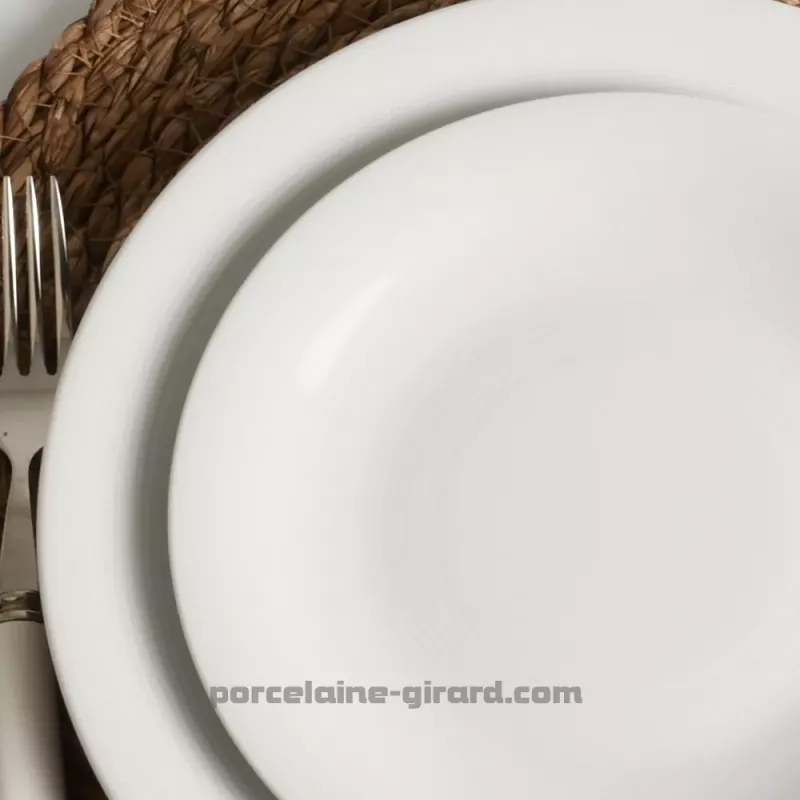 ASSIETTE PLATE 27 CM ONDE ASSIETTE PLATE 27 CM ONDE