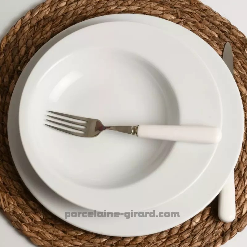 ASSIETTE CREUSE SURF 24CM / ASSIETTE CREUSE SURF 24CM /